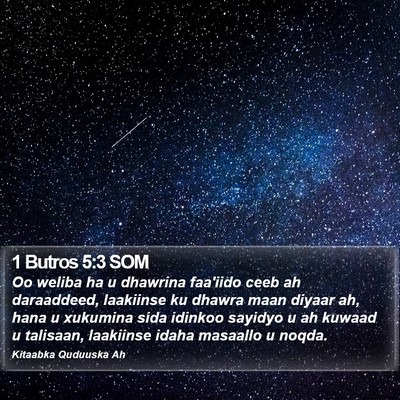 1 Butros 5:3 SOM Bible Verse Image