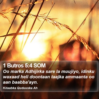 1 Butros 5:4 SOM Bible Verse Image