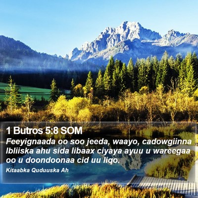 1 Butros 5:8 SOM Bible Verse Image