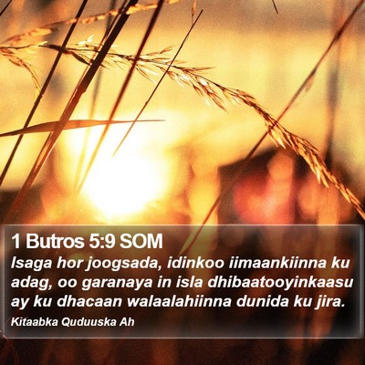 1 Butros 5:9 SOM Bible Verse Image