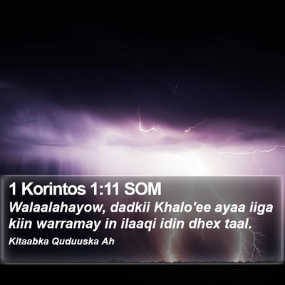 1 Korintos 1:11 SOM Bible Verse Image