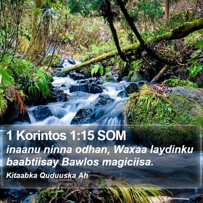 1 Korintos 1:15 SOM Bible Verse Image