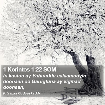 1 Korintos 1:22 SOM Bible Verse Image