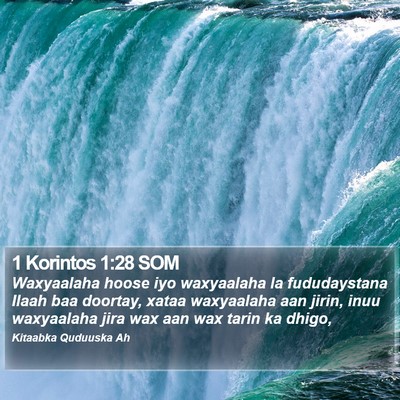 1 Korintos 1:28 SOM Bible Verse Image