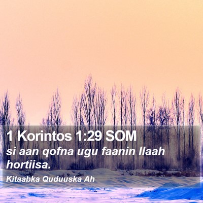 1 Korintos 1:29 SOM Bible Verse Image
