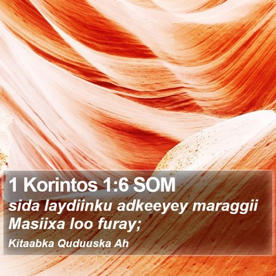 1 Korintos 1:6 SOM Bible Verse Image