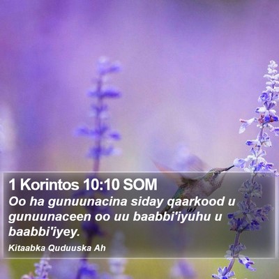 1 Korintos 10:10 SOM Bible Verse Image