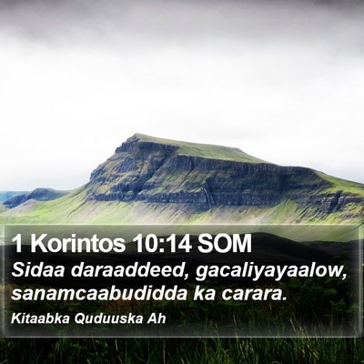1 Korintos 10:14 SOM Bible Verse Image