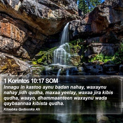 1 Korintos 10:17 SOM Bible Verse Image