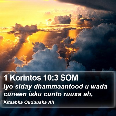 1 Korintos 10:3 SOM Bible Verse Image