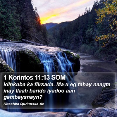 1 Korintos 11:13 SOM Bible Verse Image
