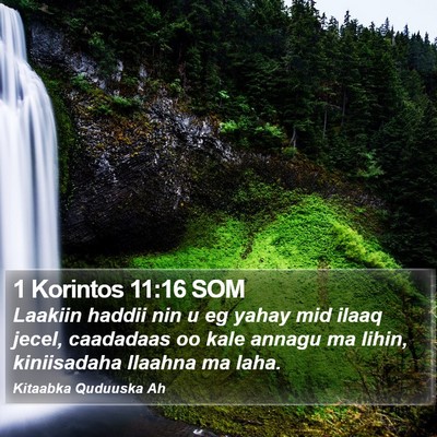 1 Korintos 11:16 SOM Bible Verse Image