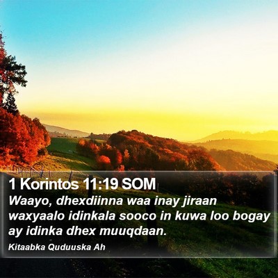 1 Korintos 11:19 SOM Bible Verse Image