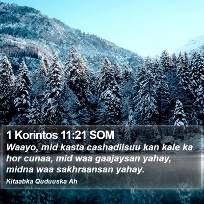 1 Korintos 11:21 SOM Bible Verse Image