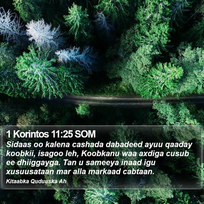 1 Korintos 11:25 SOM Bible Verse Image