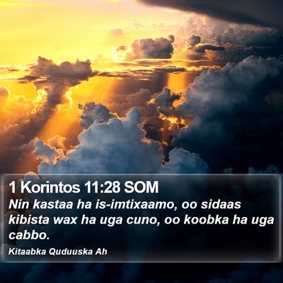 1 Korintos 11:28 SOM Bible Verse Image
