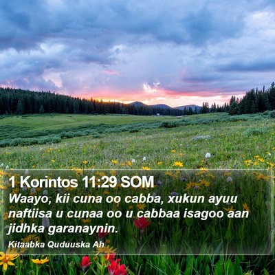 1 Korintos 11:29 SOM Bible Verse Image