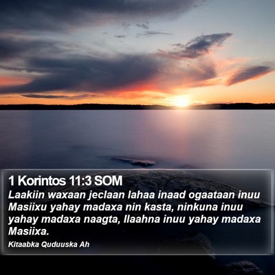 1 Korintos 11:3 SOM Bible Verse Image