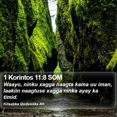 1 Korintos 11:8 SOM Bible Verse Image
