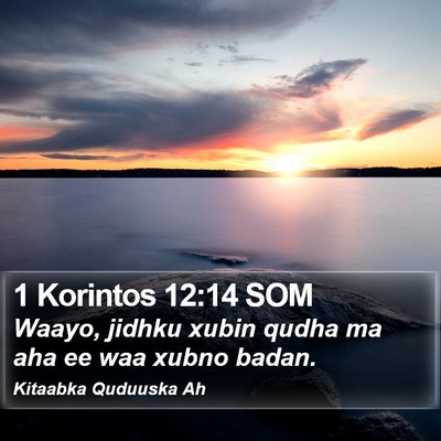 1 Korintos 12:14 SOM Bible Verse Image