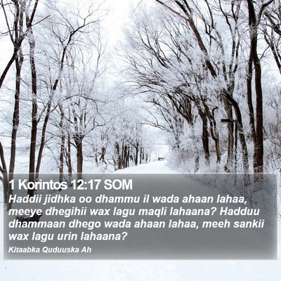 1 Korintos 12:17 SOM Bible Verse Image