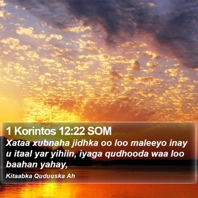 1 Korintos 12:22 SOM Bible Verse Image
