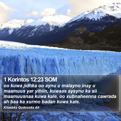 1 Korintos 12:23 SOM Bible Verse Image