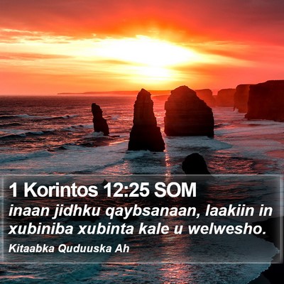 1 Korintos 12:25 SOM Bible Verse Image
