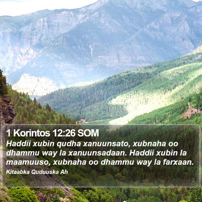 1 Korintos 12:26 SOM Bible Verse Image