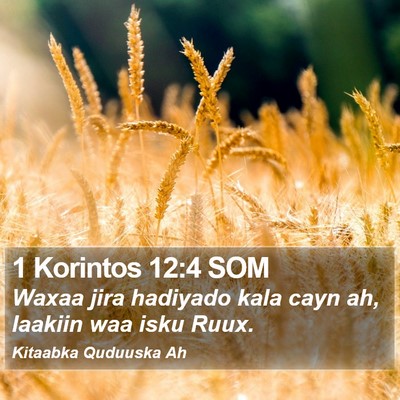 1 Korintos 12:4 SOM Bible Verse Image