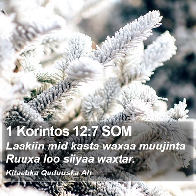 1 Korintos 12:7 SOM Bible Verse Image