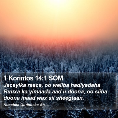 1 Korintos 14:1 SOM Bible Verse Image