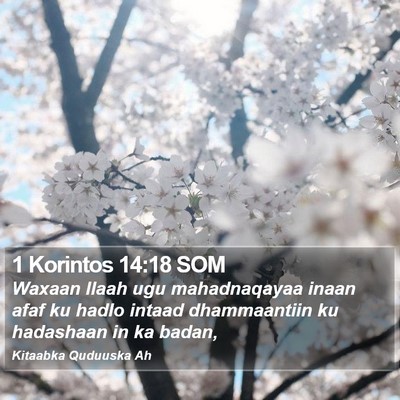 1 Korintos 14:18 SOM Bible Verse Image