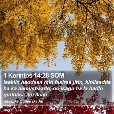 1 Korintos 14:28 SOM Bible Verse Image