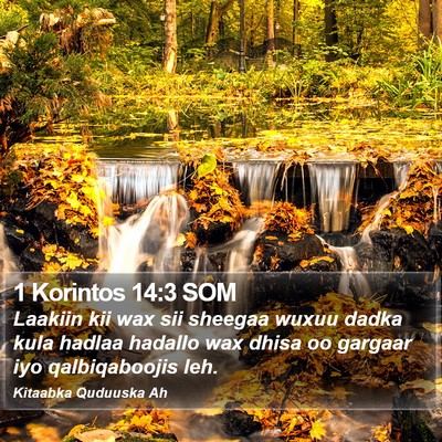 1 Korintos 14:3 SOM Bible Verse Image
