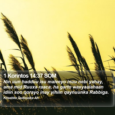 1 Korintos 14:37 SOM Bible Verse Image