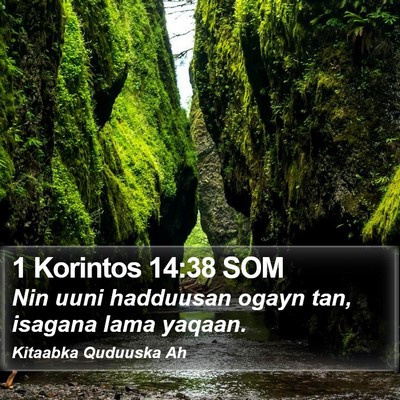 1 Korintos 14:38 SOM Bible Verse Image