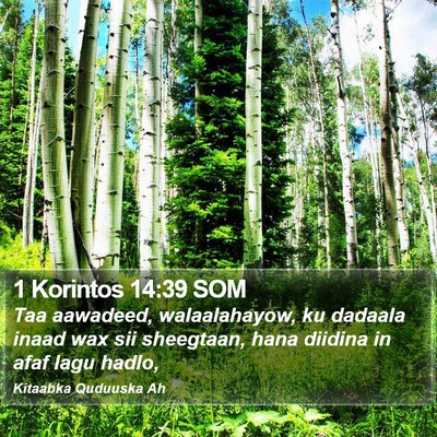 1 Korintos 14:39 SOM Bible Verse Image