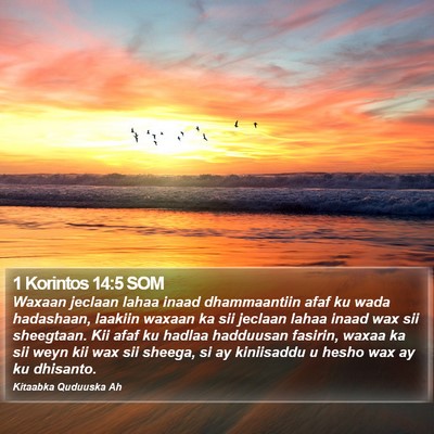 1 Korintos 14:5 SOM Bible Verse Image