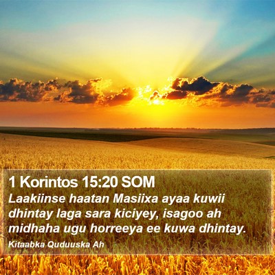 1 Korintos 15:20 SOM Bible Verse Image