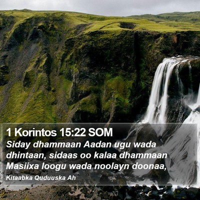 1 Korintos 15:22 SOM Bible Verse Image
