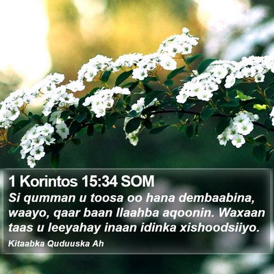 1 Korintos 15:34 SOM Bible Verse Image