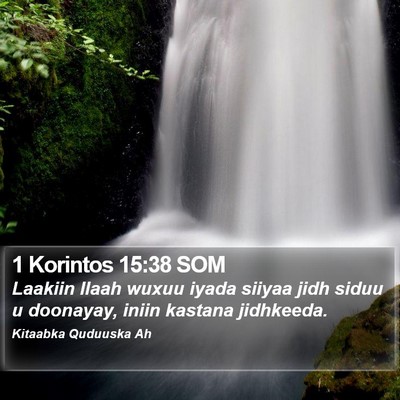 1 Korintos 15:38 SOM Bible Verse Image