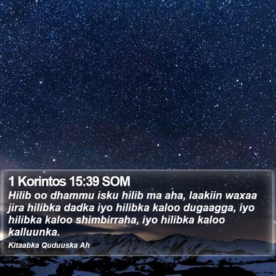 1 Korintos 15:39 SOM Bible Verse Image