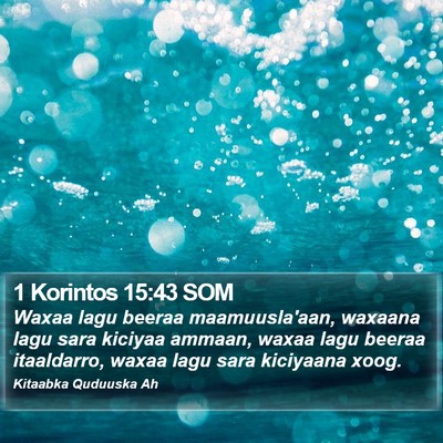 1 Korintos 15:43 SOM Bible Verse Image