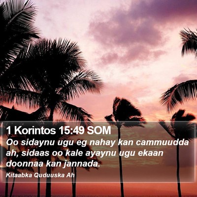 1 Korintos 15:49 SOM Bible Verse Image