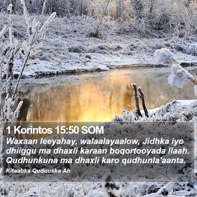 1 Korintos 15:50 SOM Bible Verse Image
