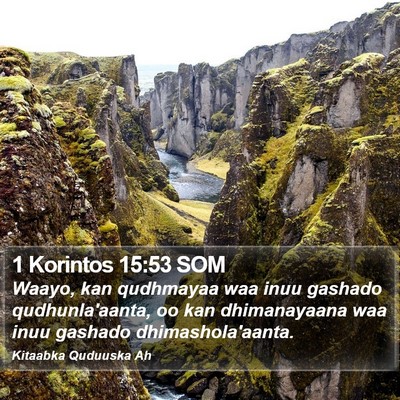 1 Korintos 15:53 SOM Bible Verse Image