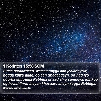 1 Korintos 15:58 SOM Bible Verse Image