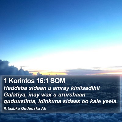 1 Korintos 16:1 SOM Bible Verse Image